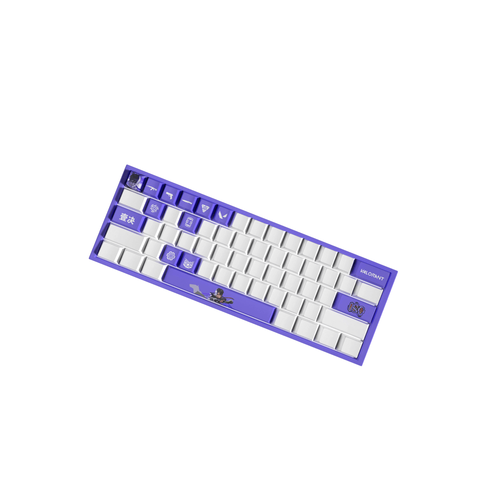 Valorant ISO PBT Keycaps Set |14 Keys, OEM Profile, Dye Sub Design