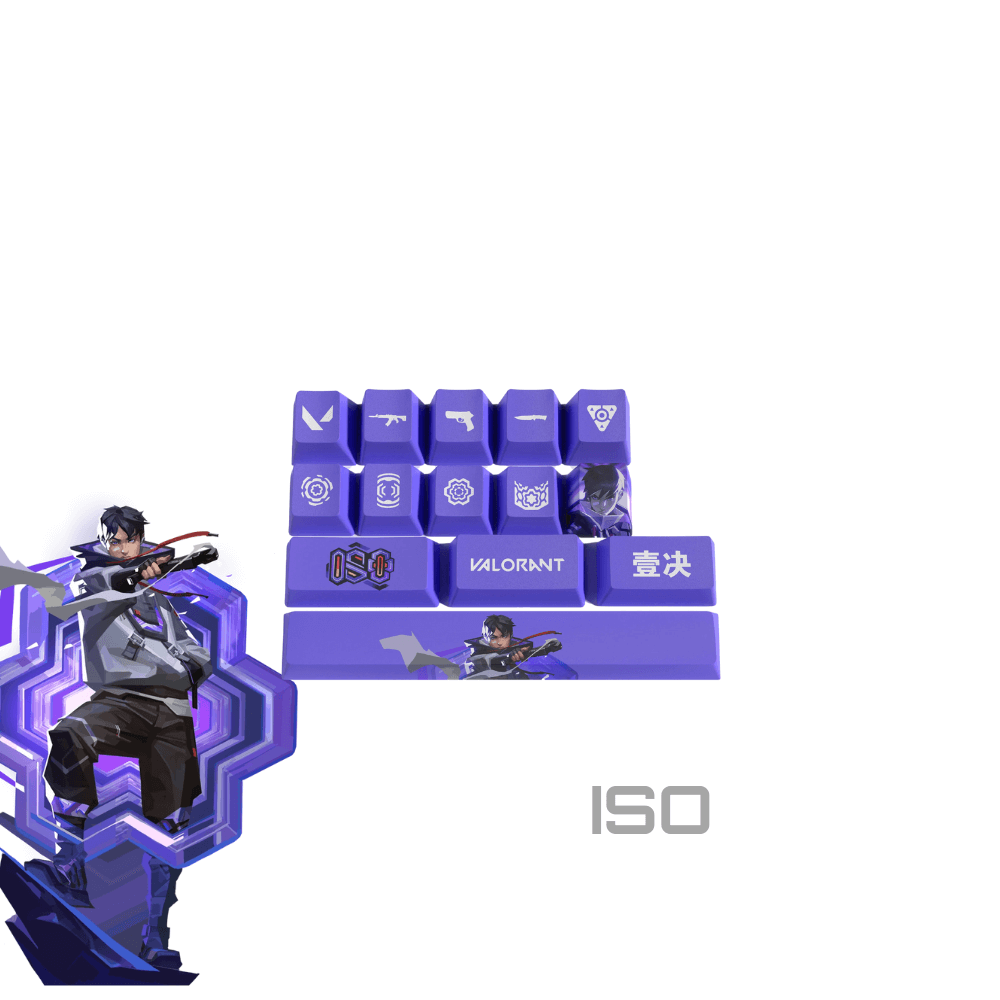 Valorant ISO PBT Keycaps Set |14 Keys, OEM Profile, Dye Sub Design